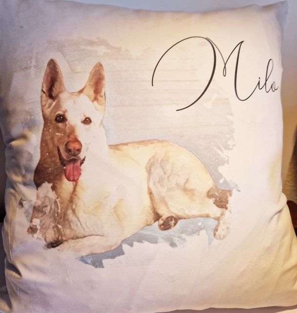 A cushion with Milo the dog's portrait and his name